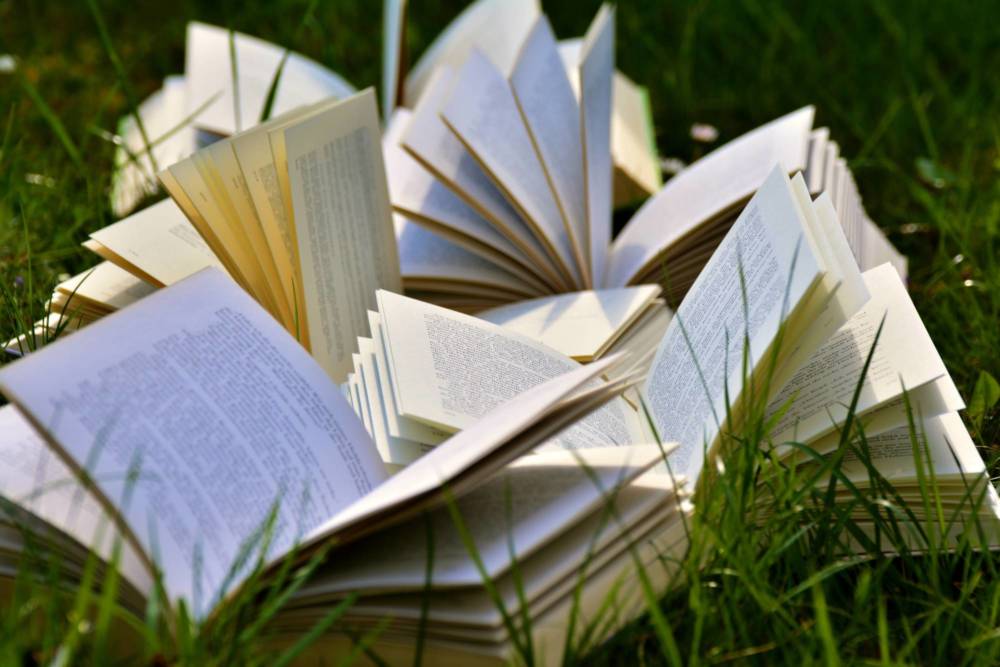 What are you reading this summer?