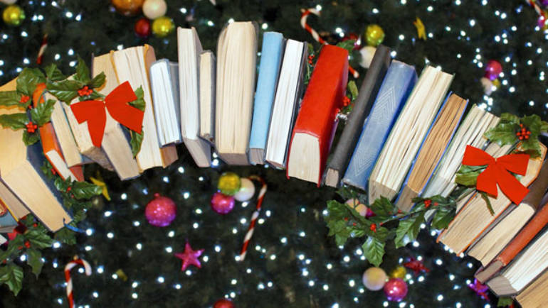 Our 12 Books of Christmas!